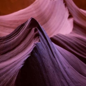 a person looking at the camera