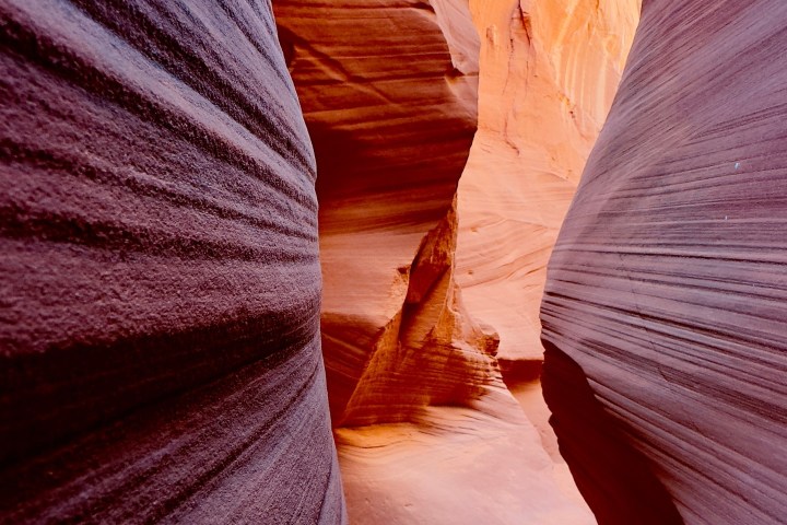 Narrow sandstone canyon with smooth, curved walls and a sandy pathway.